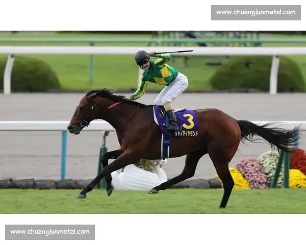 刚劲力登顶菊花赏!李慕华铸就三连冠传奇 刚劲力登顶菊花赏!李慕华铸就三连冠传奇